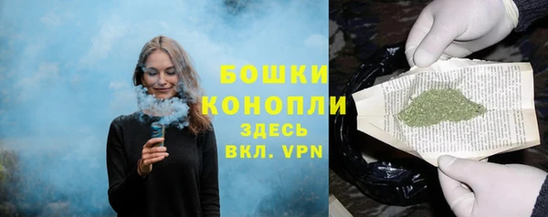 спиды Новозыбков