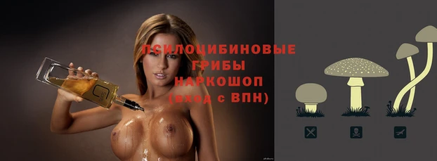стаф Абаза