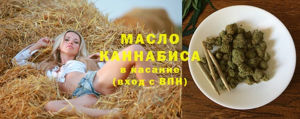 стаф Инта