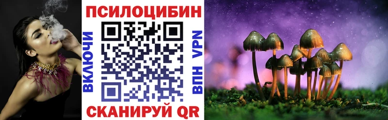 Галлюциногенные грибы Cubensis MEGA ONION Томилино